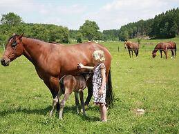 Rustic Farm Stay in Rogery