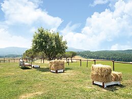 Apartment Near Pisa, Beaches