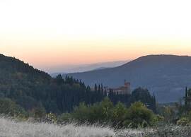 Villa in Tuscany With Organic Wine Estate