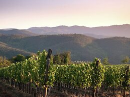 Villa in Tuscany With Organic Wine Estate