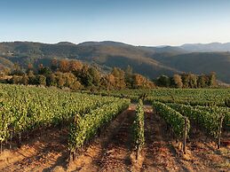 Villa in Tuscany With Organic Wine Estate