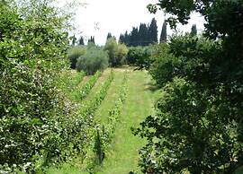 Apartment in Peccioli With Pool and Wine Tasting