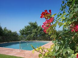 Villa in Arezzo With Pool and Vineyards