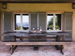 Villa in Arezzo With Pool and Vineyards