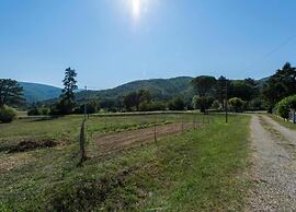 Villa in Arezzo With Pool and Vineyards