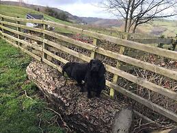 Converted Stone Barn -20 Acres - Farm Animals!