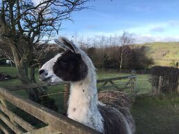 Converted Stone Barn -20 Acres - Farm Animals!