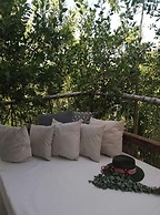 Roc Jungle Tulum