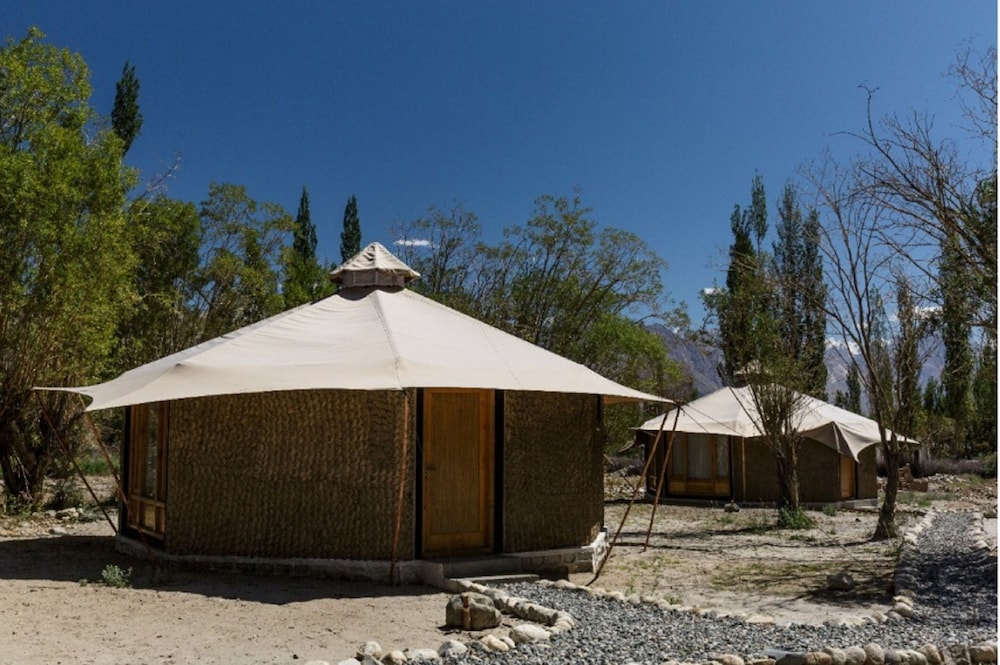 Chalet Seabuckthorn