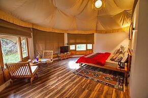 Chalet Seabuckthorn