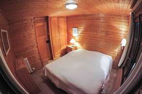 Beautiful Chalet for 10 People in Vercorin