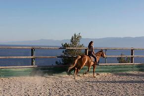 Yayaki Spetses
