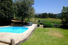 Cozy Mansion in Ponte de Lima With Pool