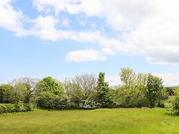 Maes Llwyd