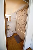 Joli Appartement Ensoleillé à Vercorin