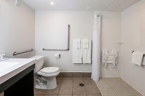 Comfort Suites Kingston Central