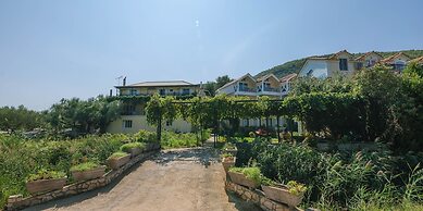 Studio Timotheos