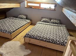 Vineyard cottage Stopar