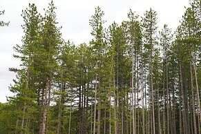 Pindos Resort