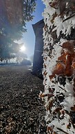 Les 12 Bois du Cerf
