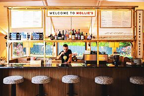Mollie's Bristol