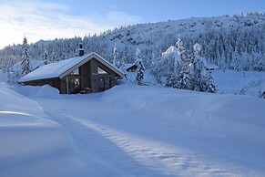 Skeikampen Booking