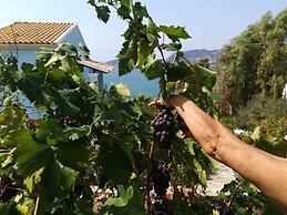 Agios Georgios - 2 Beds - Sleeps 4 - Free Parking