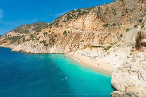 Villa Mina Large Private Pool A C Wifi Car Not Required Eco-friendly -