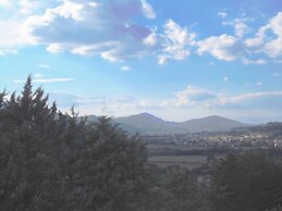 Podere Caldaruccio La Pineta Torretta