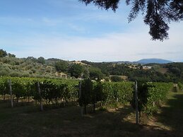 Podere Caldaruccio La Pineta Torretta
