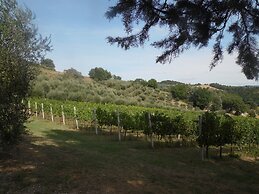 Podere Caldaruccio La Pineta Torretta