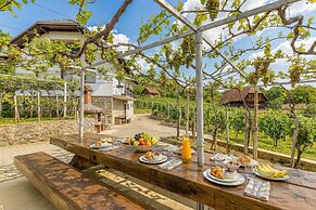 Vineyard Homestead Vrtin