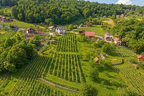 Vineyard Homestead Vrtin