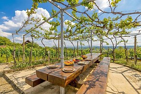 Vineyard Homestead Vrtin