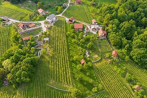 Vineyard Homestead Vrtin