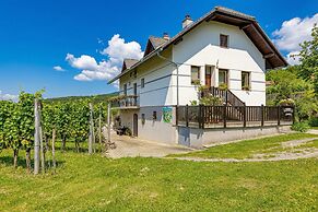 Vineyard Homestead Vrtin