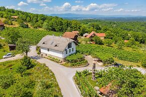 Vineyard Homestead Vrtin