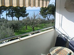 Apartment Oliva