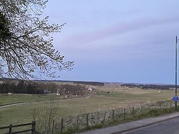 Little Woodbine