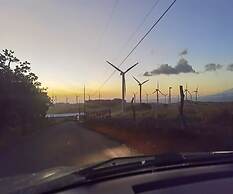 Vistas del Tenorio