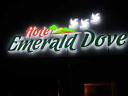 Emerald Dove