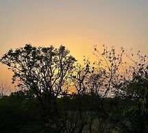 The Postcard Gir Wildlife Sanctuary