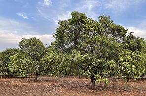 The Postcard Gir Wildlife Sanctuary