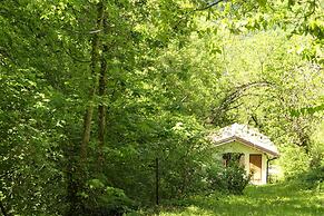 House By The Stream