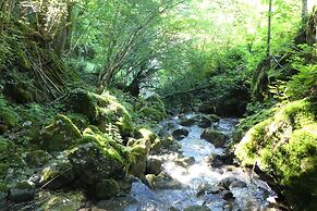 House By The Stream