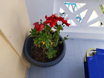A Studio With Balcony