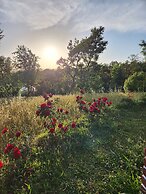 Hipostel Bir - Stay and Cafe