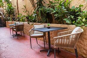 Macondo Holbox
