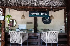 Macondo Holbox