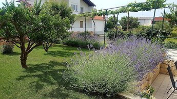 Apartment Branka
